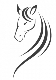 gallery/horse_head